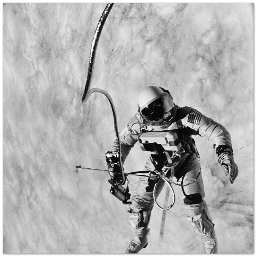 NASA Posters - Edward H White II pilot for Gemini-Titan 4 (GT-4) Premium Matte Poster Paper