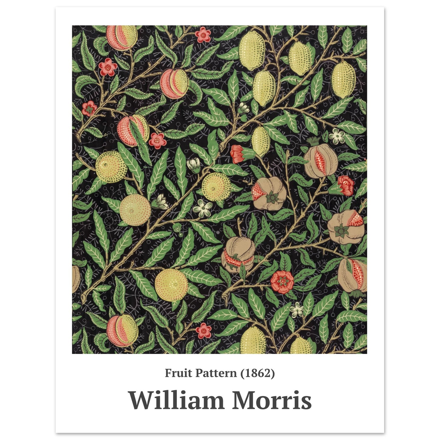 Plakat - Fruit pattern (1862) William Morris - Premium Mat Plakat Papir