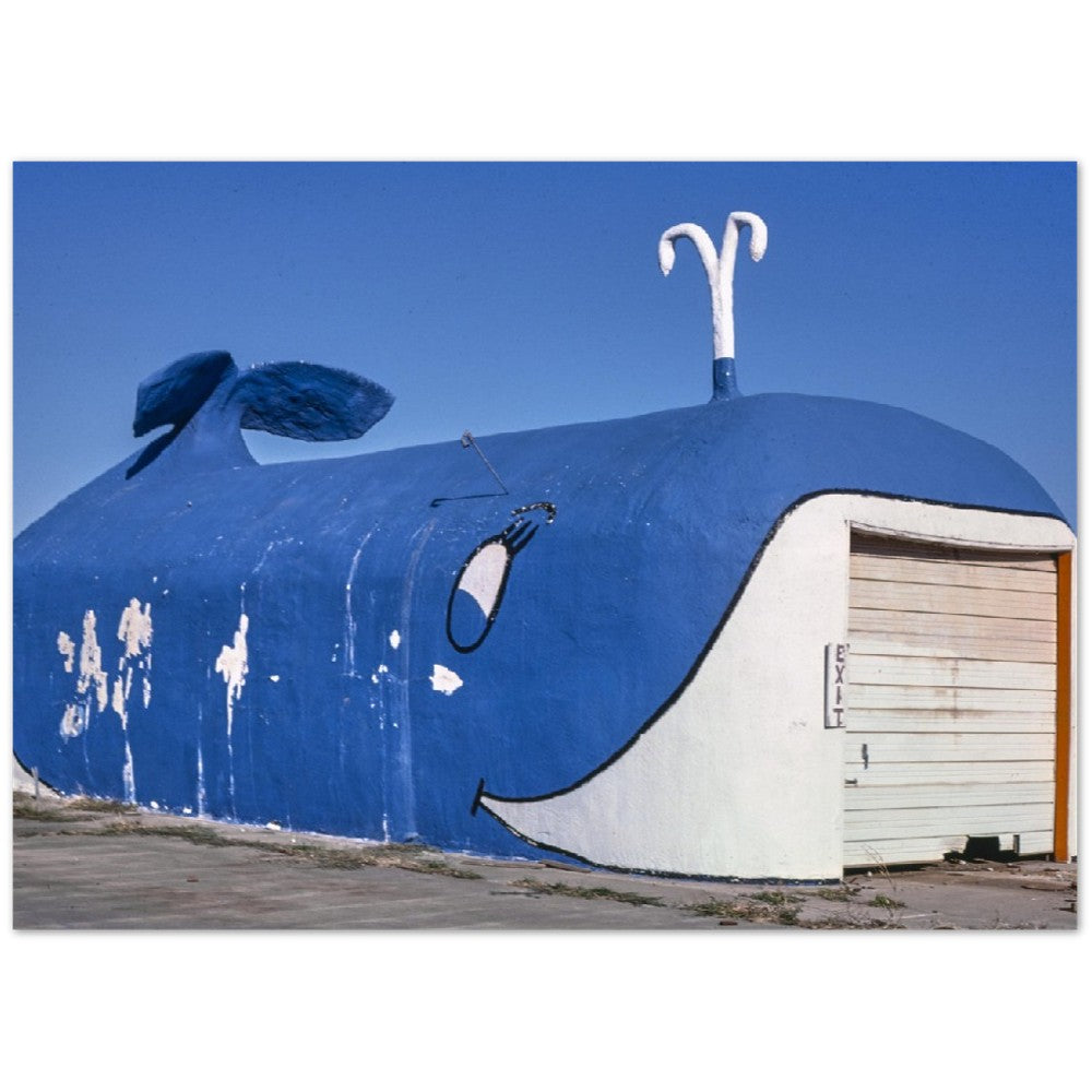 Plakat - The Whale Car Wash, Oklahoma City (1979) John Margolies