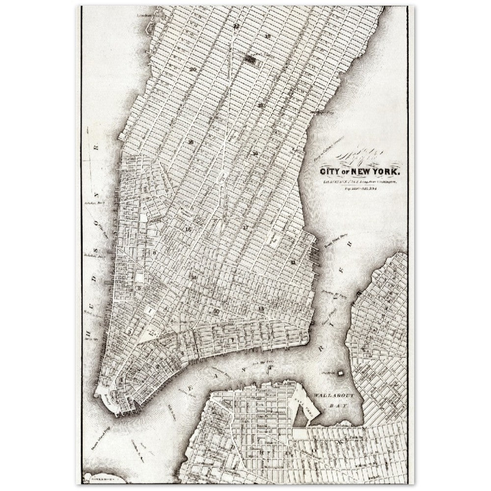 Poster - New York city poster (circa 1850) Premium Matte Paper